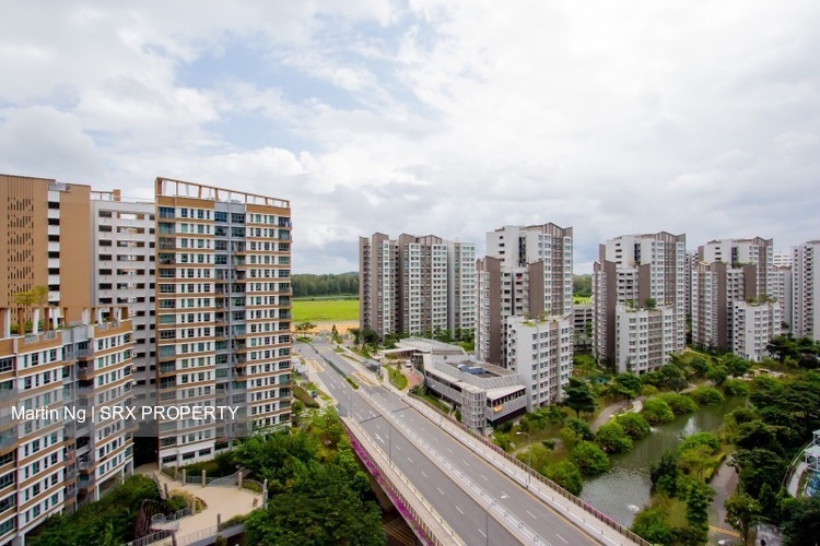 Blk 666B Punggol Drive (Punggol), HDB 5 Rooms #222426701